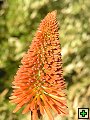 thn_NZ leden-unor 2006 011.jpg